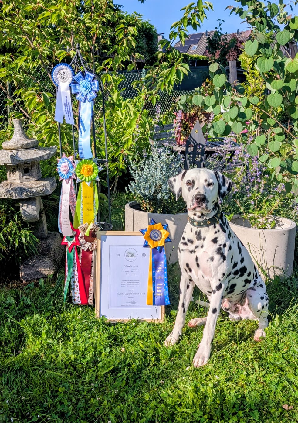 Quill ist Deutscher Jugendchampion