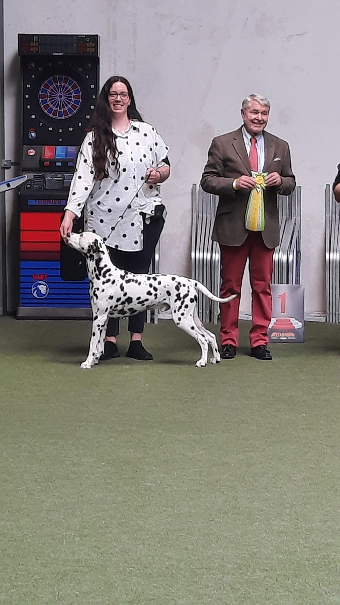 Quill auf der Hundeausstellung in Hückelhoven 2026, Tag 1 (Dalmatiner, v1)